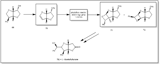 圖6 Goniofufurone光催化合成路線