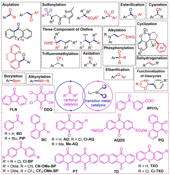1695351384490792.jpg 1695351384490792.jpg