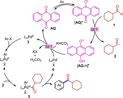 1695351786891740.jpg 1695351786891740.jpg