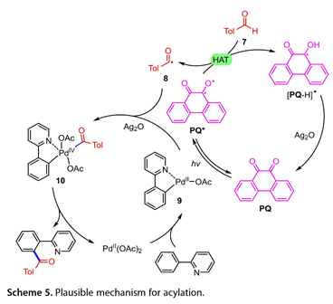 1695352059937789.jpg 1695352059937789.jpg