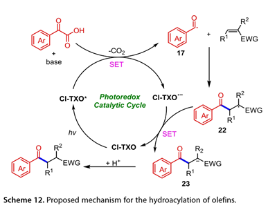 1695352554172587.jpg 1695352554172587.jpg